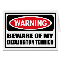 Warning BEWARE OF MY BEDLINGTON TERRIER Greeting C Greeting Cards