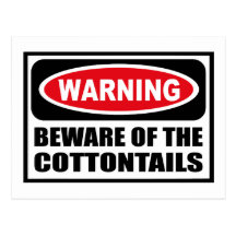 Warning BEWARE OF THE COTTONTAILS Postcard