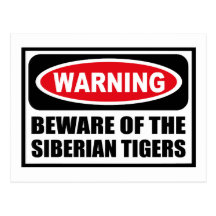 Warning BEWARE OF THE SIBERIAN TIGERS Postcard