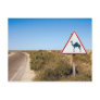 Warning Camels Ahead