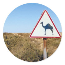 Warning Camels Ahead