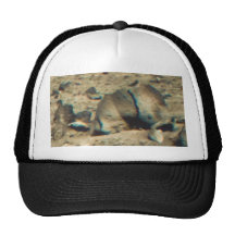 Warning! Critter At 1 O'Clock! Hat