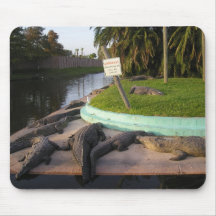 Warning Sign Mousepad