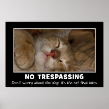 Warning to All Trespassers and Solicitors (S) Poster
