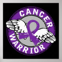 Warrior 14C Pancreatic Cancer