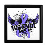 Warrior 16 Stomach Cancer Keepsake Boxes
