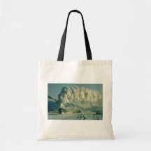 Warrior crosses the wintry landscape with a full l canvas bag
