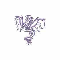warrior dragon polo