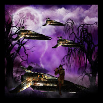 Warrior Space Ship Poster posters