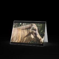 Warthog cards