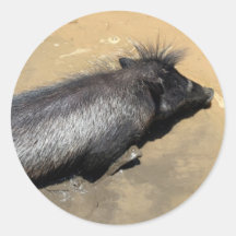 Warthog in mud round stickers