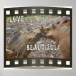 WARTHOG LOVE IS BEAUTIFUL KISS FILMSTRIP POSTERS