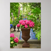Washington D.C. Botanical Gardens Print