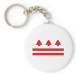 washington d.c. christmas key chain