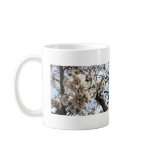 Washington DC Cherry Blossom Coffee Mugs