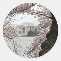 Washington DC de fleurs de cerisier Adhésifs