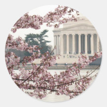 Washington DC de fleurs de cerisier Autocollants