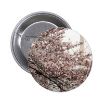 Washington DC de fleurs de cerisier Badges