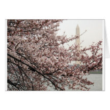 Washington DC de fleurs de cerisier Cartes De Vœux