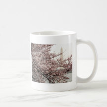 Washington DC de fleurs de cerisier Mug