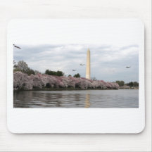 Washington DC de fleurs de cerisier Tapis De Souris
