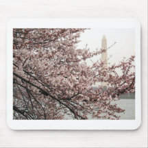 Washington DC de fleurs de cerisier Tapis De Souris