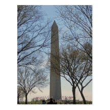 Washington Monument Cherry Blossom Festival Postcard