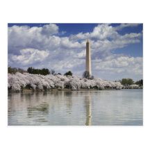 WASHINGTON MONUMENT LITHOGRAPH POSTCARDS