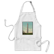 Washington Monument rare Photochrom Aprons