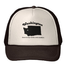Washington - Nerds and Slackers Hat