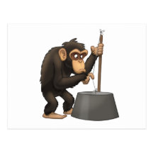 Washtub-Bass-Playin’ Chimp Postcard