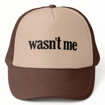 Wasn't Me