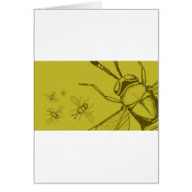 Wasp, Aphycus Annulipes Cards