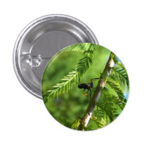 Wasp Button