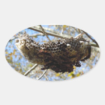 Wasp Nest! Yikes! Stickers