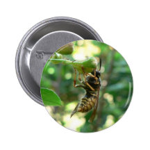 Wasp On Flower Pinback Button