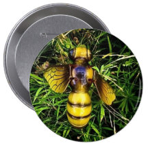 Waspwash Buttons