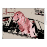 Watch Dog Card
