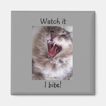 Watch it, I bite! Fridge Magnet
