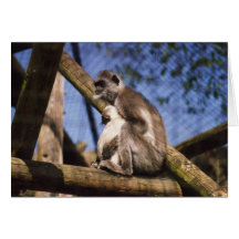 Watch with Mother.. Greeting Cards