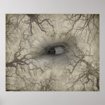 Watcher in the Woods Poster