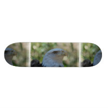 Watchful Eagle Skate Decks