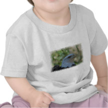 Watchful Eagle T-shirt