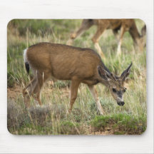 Watchful Eye Mouse Pad