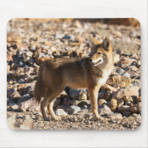 Watchful Eye Mousepads