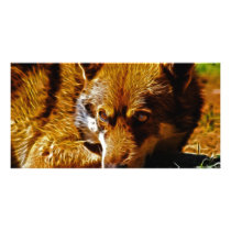 Watchful Photo Card Template