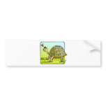 Watchful Turtle Bumper Sticker