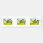 Watchful Turtle Bumper Stickers