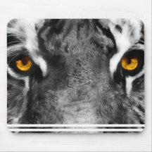 Watching You Mus Mattor