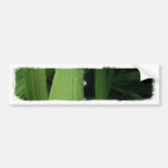 Water Beads on Grass Bumper Sticker